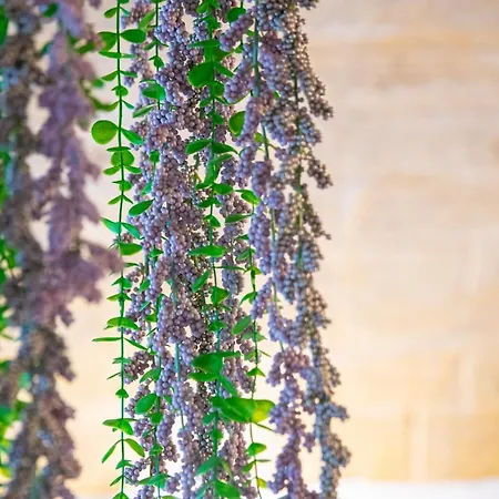 Sechi's - Puglia Apartment